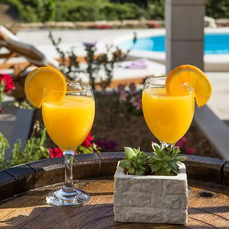 Vakantiehuis Village Kamenica Kostanje
